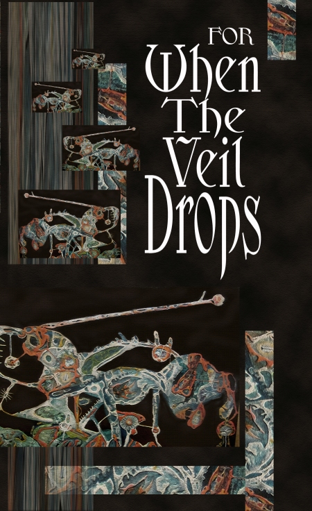 FOR WHEN THE VEIL DROPS is "a rather refreshing read."